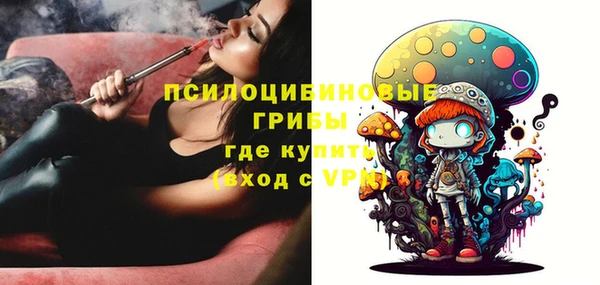 а пвп мука Абаза