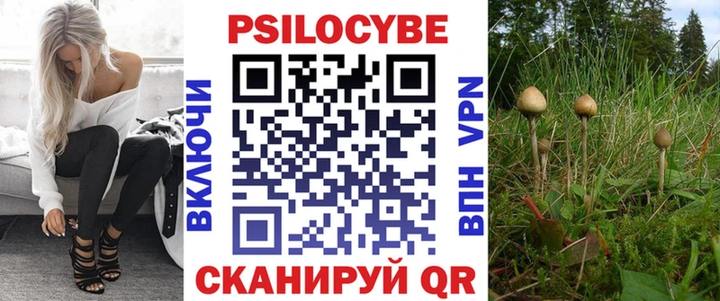 гидра зеркало Алдан Псилоцибиновые грибы MAGIC MUSHROOMS