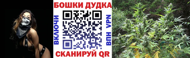 как найти   Алдан  Бошки марихуана VHQ 